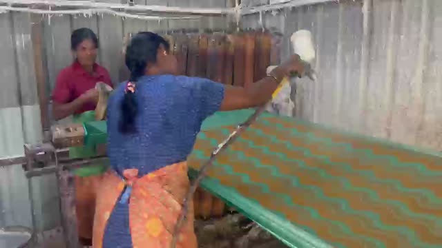 Saree Folding III